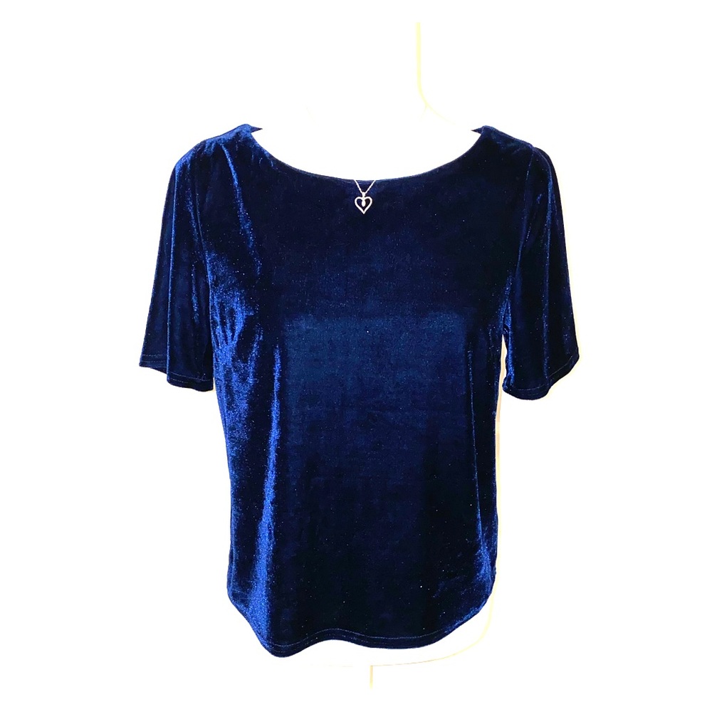 💙NWT Dee Elly Blue Velvet Top Small 💙